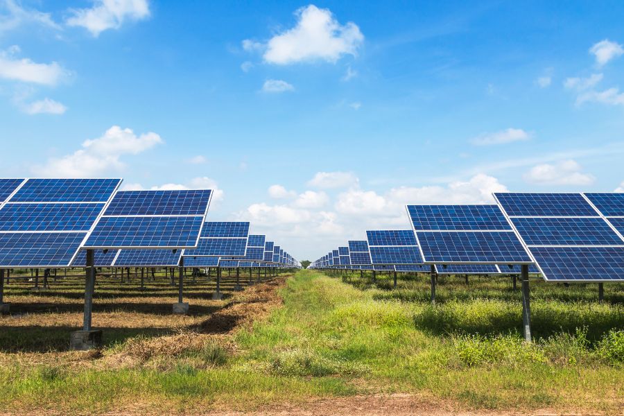 Photovoltaics module solar panels in solar farm