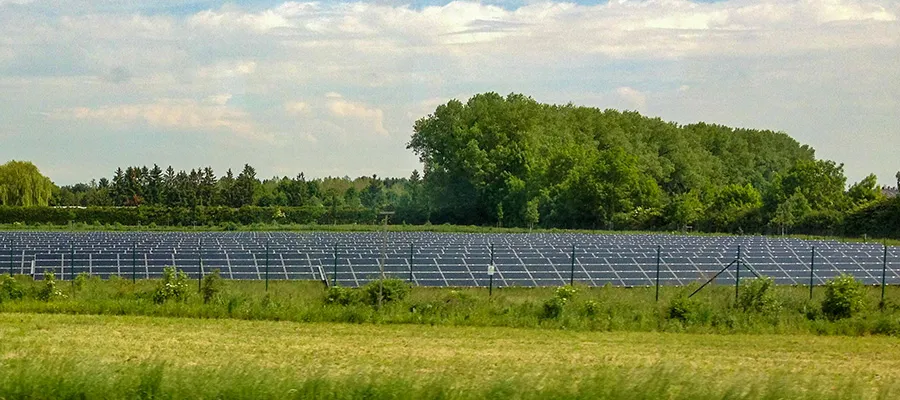 a field of solar panels in a rural land with trees in the background
